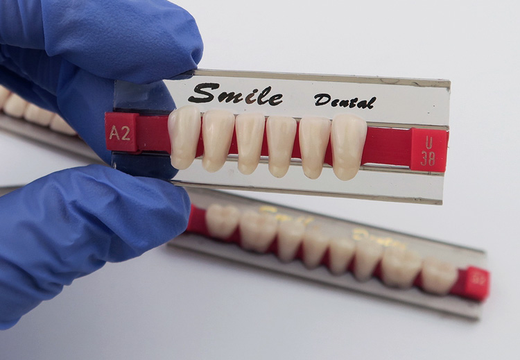 Synthetic Resin Teeth Three Layer